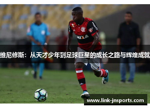 维尼修斯：从天才少年到足球巨星的成长之路与辉煌成就